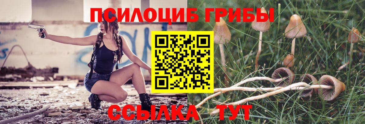 Псилоцибиновые грибы мухоморы Балахна