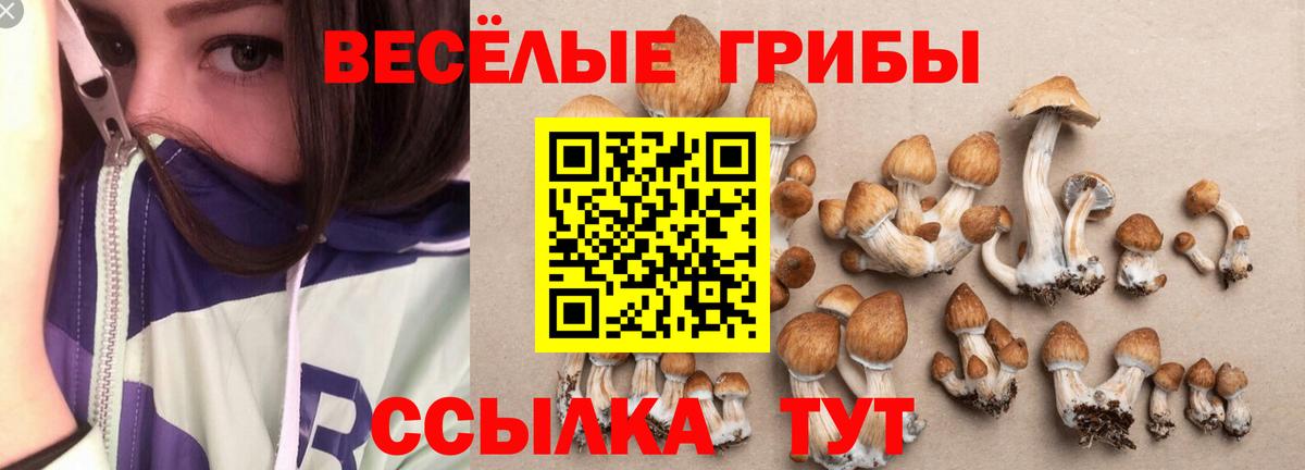 Галлюциногенные грибы мицелий  купить наркотики сайты  Балахна  Вход с VPN 